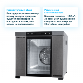 Профессиональный дегидратор RAWMID Dream PRO 2 DDP-10 (сталь, 10 лотков)