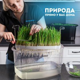 Микроферма RAWMID Dream Sprouter SDM-02 (проращиватель и выращиватель)