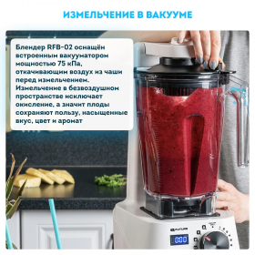 Профессиональный вакуумный блендер RAWMID Future RFB-02
