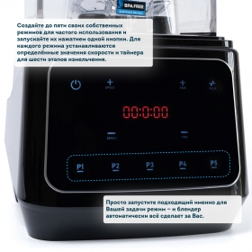 Профессиональный блендер RAWMID Professional RPB-02