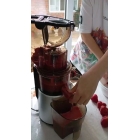 Шнековая соковыжималка RAWMID Dream Juicer Modern JDM-80