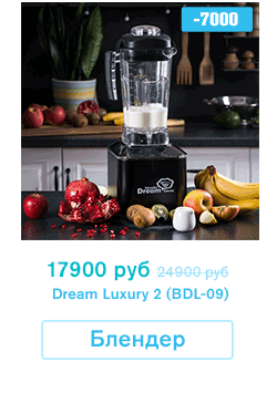 Блендер профессиональный RAWMID Dream Luxury 2 (BDL-09)