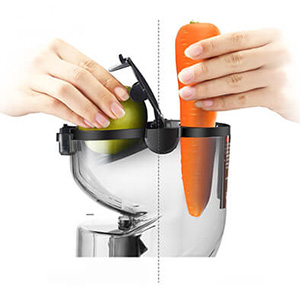 Шнековая соковыжималка RAWMID Dream Juicer Modern